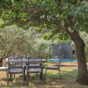 Apartment Olea, Pula